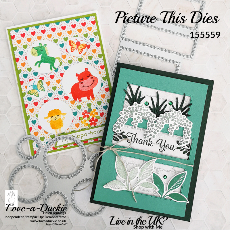 Fun aperture cards using the Picture This dies from Stampin' Up!