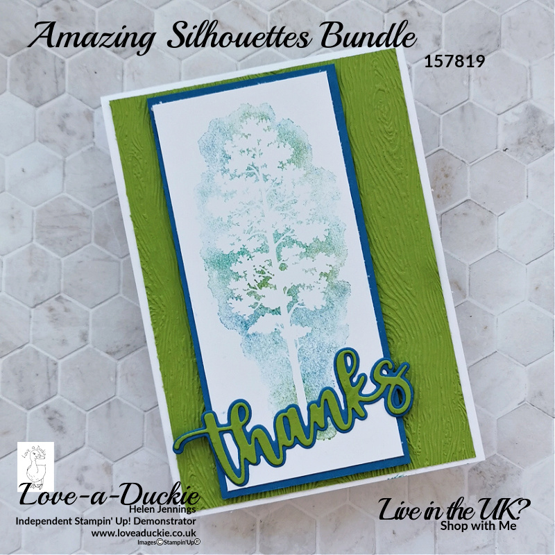 A thanks card using the Baby Wipe technique and the Amazing Silhouettes bundle from Stampin' Up!