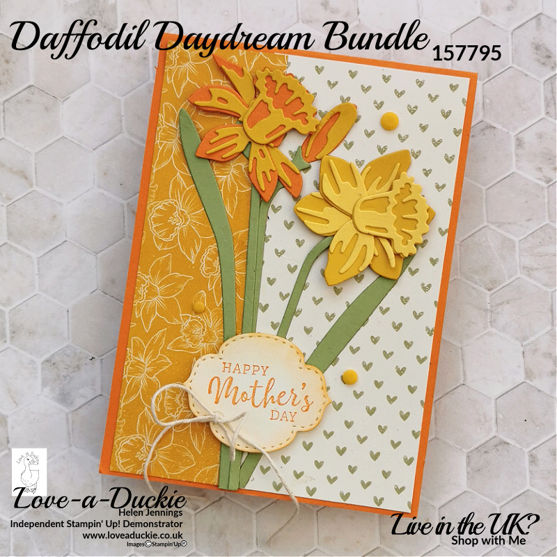 This spring card features Variegated detailed Daffodils using the dies from Stampin' Up's Daffodil Daydream Bundle