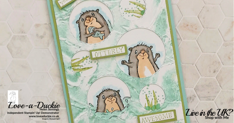 An Otter Themed Aperture Card