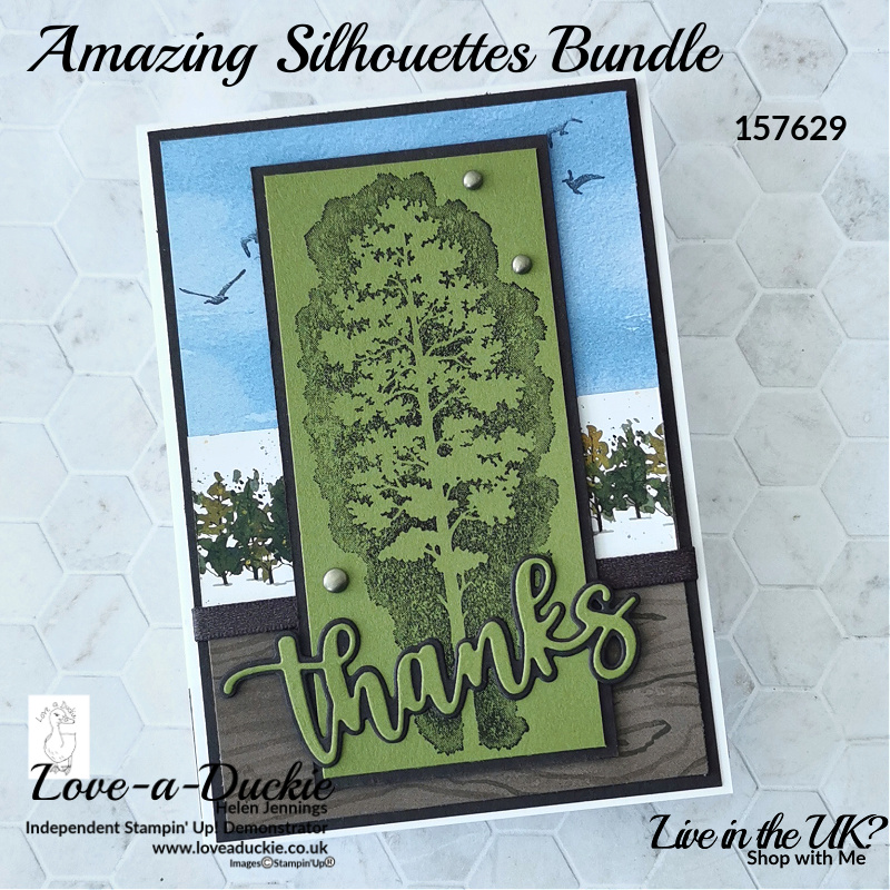 A masculine thank you card using the Amazing Silhouette bundle and Beauty of the Earth papers from Stampin' Up!