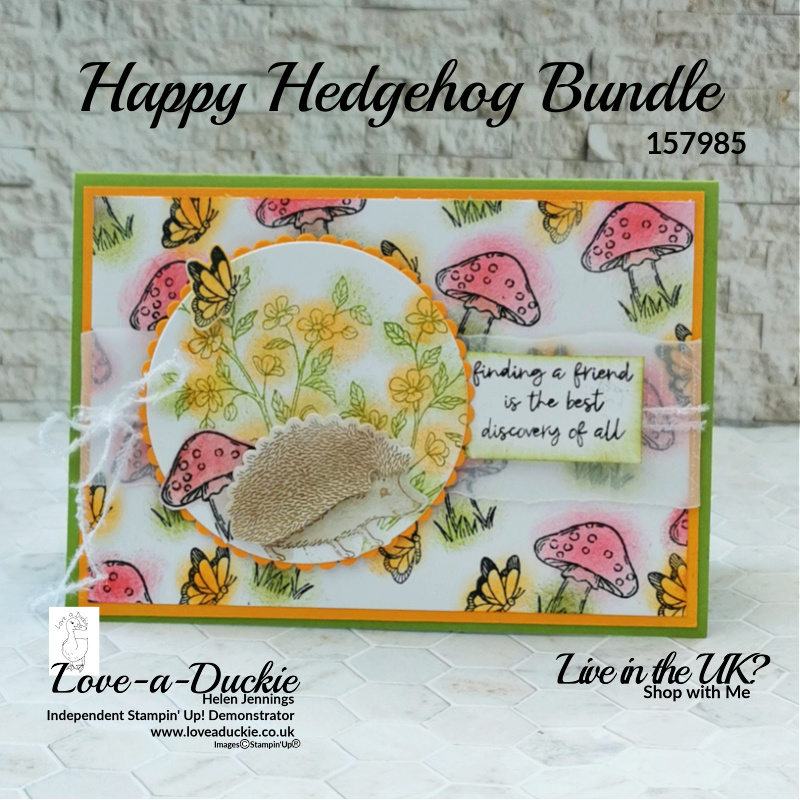 Happy Hedgehog card which is a project in the Bumper Tutorial Bundle