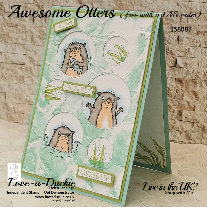An aperture card created using Stampin' Up's Picture This dies and the Awesome Otters Sale-a-Bration set.