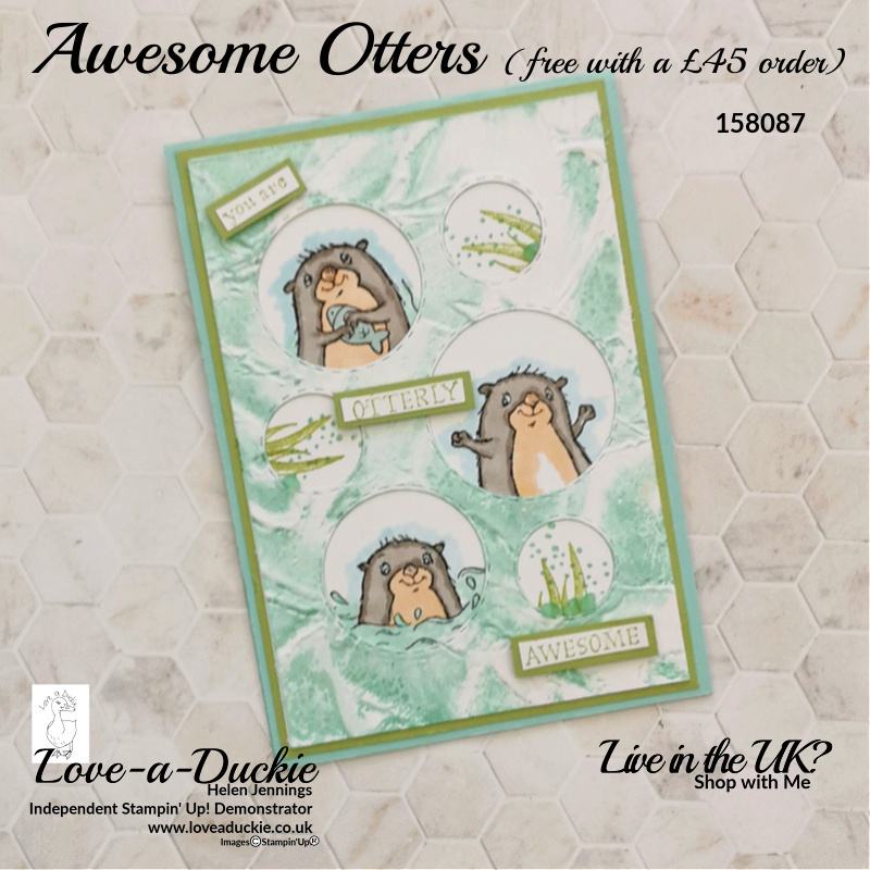 An otter themed aperture card that uses the Picture this dies and Awesome Otters stamp set from Stampin' Up!