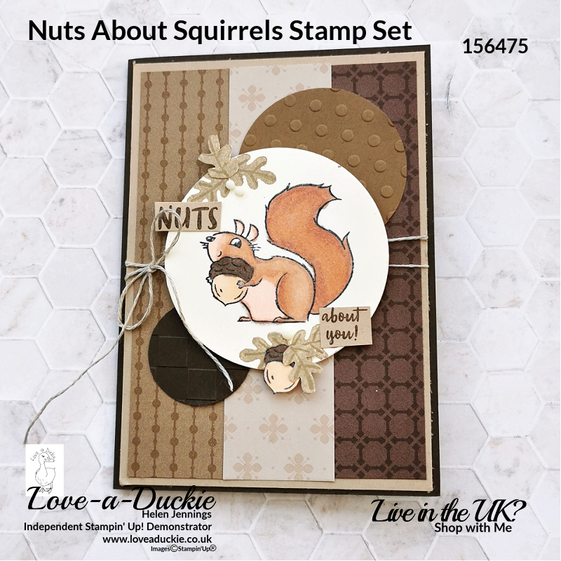This squirrel from Stampin' Up's Nuts about Squirrels stamp set was coloured with Neutral Alcohol Markers that are new to the range.