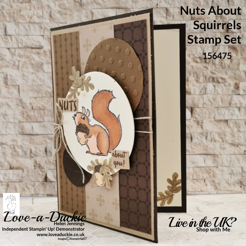 Shades of brown were used for this squirrel card using Stampin' Up Natural Tone Stampin' Blends and Nuts about Squirrels stamp set.