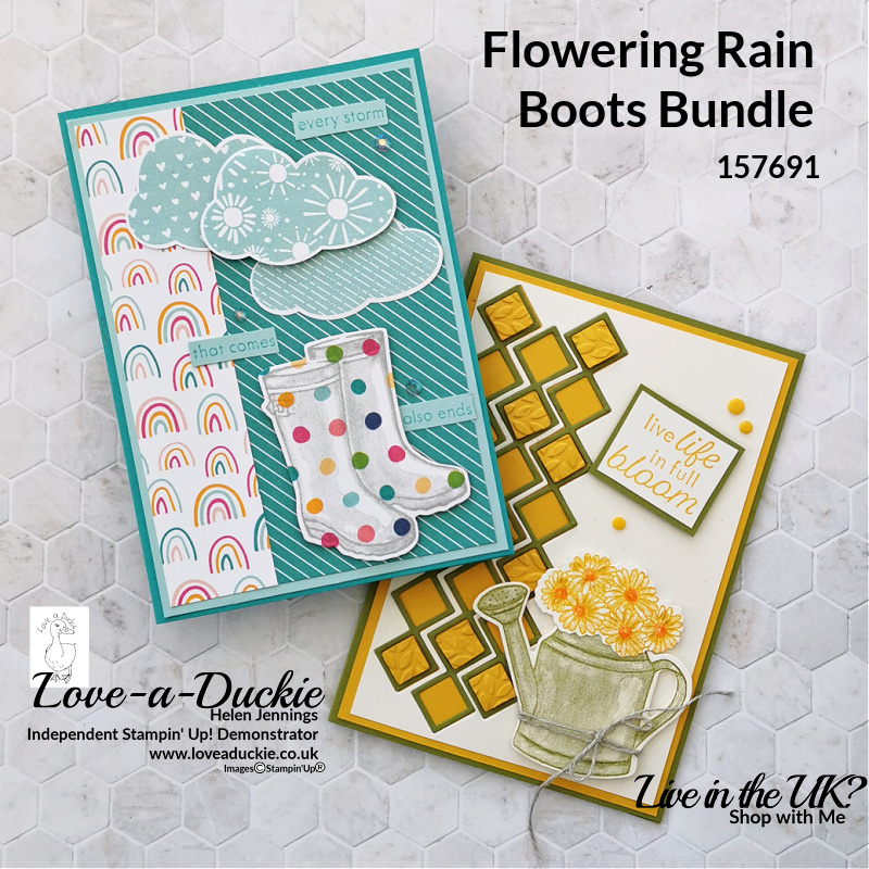 Two cards Using Punches, Dies and Embossing Folders and the Flowering Rain Boots bundle from Stampin' Up!