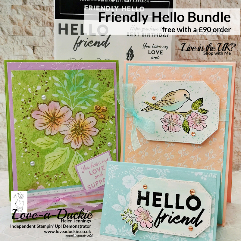 This live shows you how to create a double easel card and how to add colour with daubers, using Stampin' Up's Friendly Hello bundle.