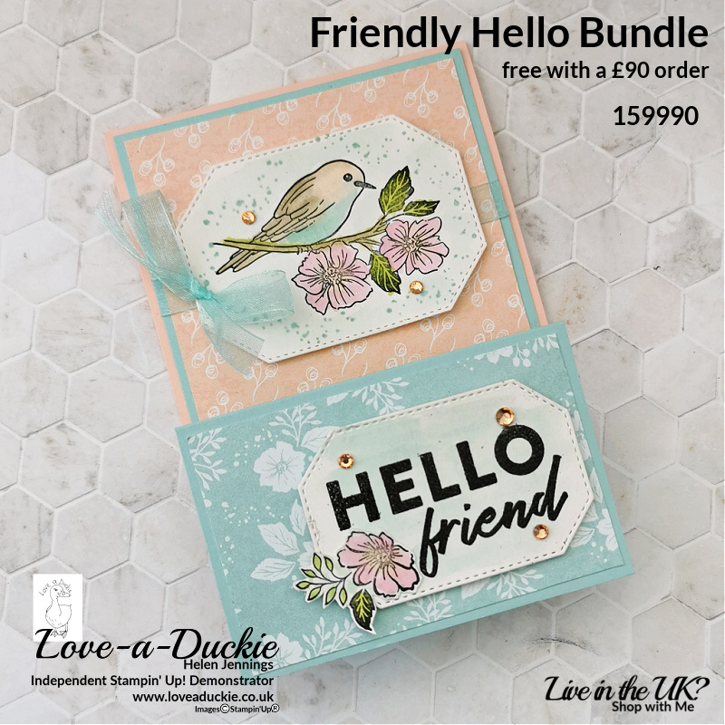 A double Easel card using papers and stamps from Stampin' Up's Friendly Hello bundle.