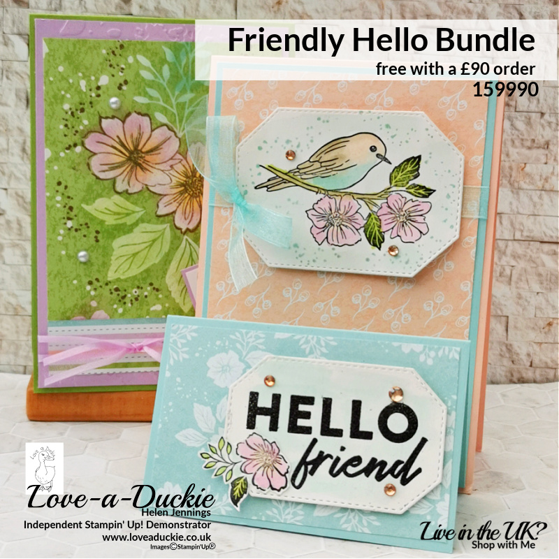 Two cards created with Stampin' Up's Sale-a-Bration friendly hello bundle.