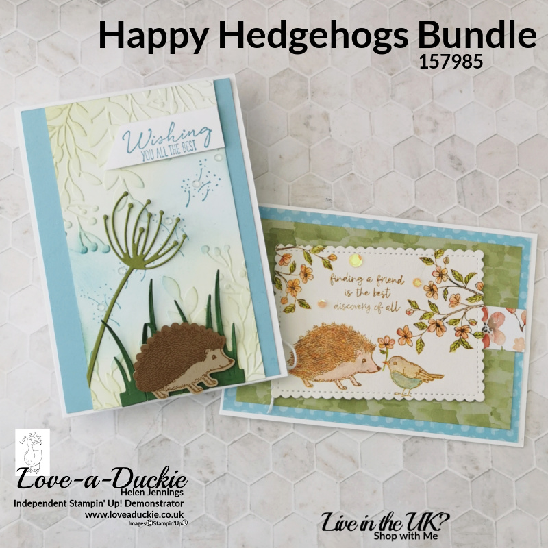 Cards created with Stampin' Up's Happy Hedgehog bundle