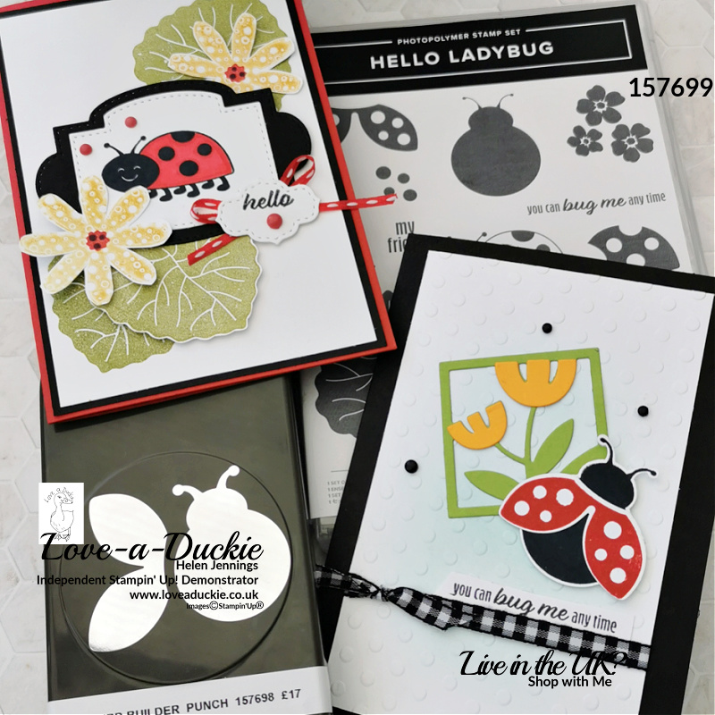 Two cards using Stampin' Up's! Hello Ladybug and All Squared away Bundles and featuring the kissing technique