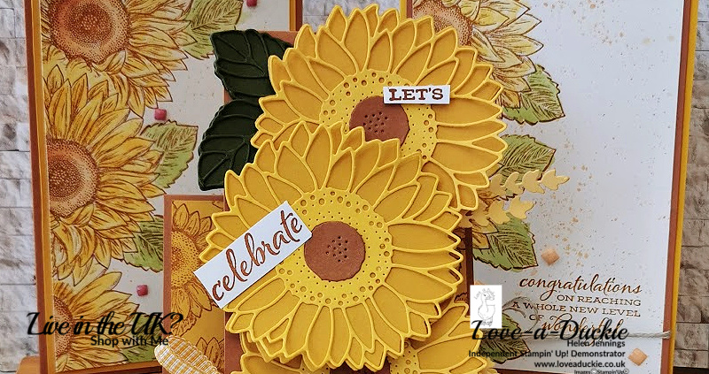 Sunflower Cards