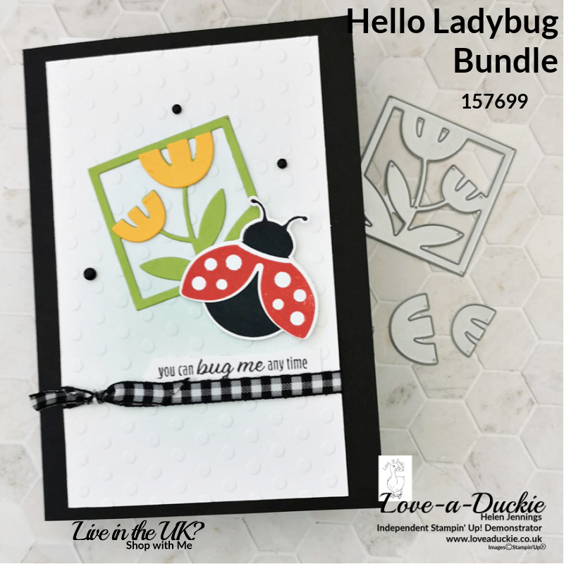 This clean and simple card uses the Hello ladybug bundle from Stampin' Up and dies from the All squared away bundle
