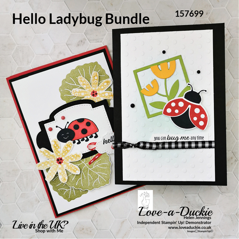 The Hello Ladybug and All Squared Away bundles from Stampin' Up! have been used to create these cards,