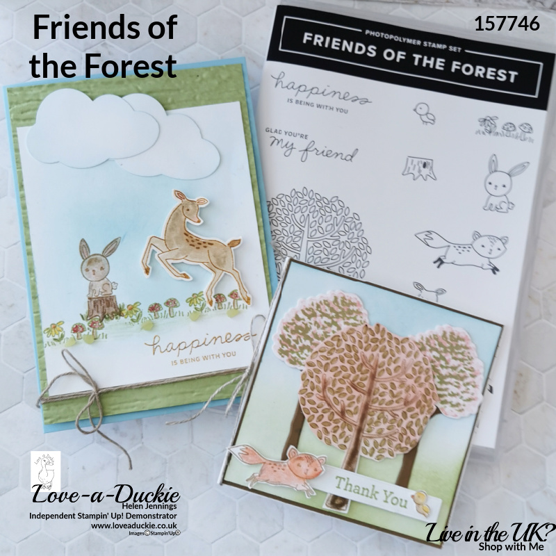 Two cards using watercolor pencils and the Friends of the Forest stamp set from Stampin' Up!