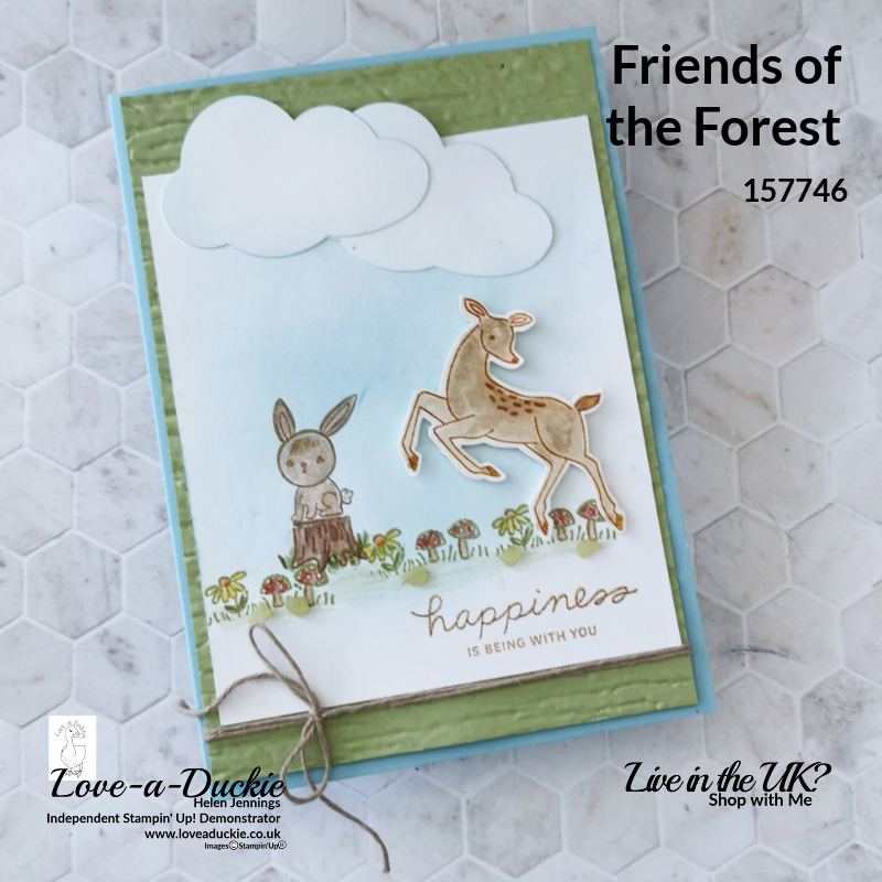 Woodland creatures from the Friends of the Forest stamp set coloured with watercolor pencils all from Stampin' Up!