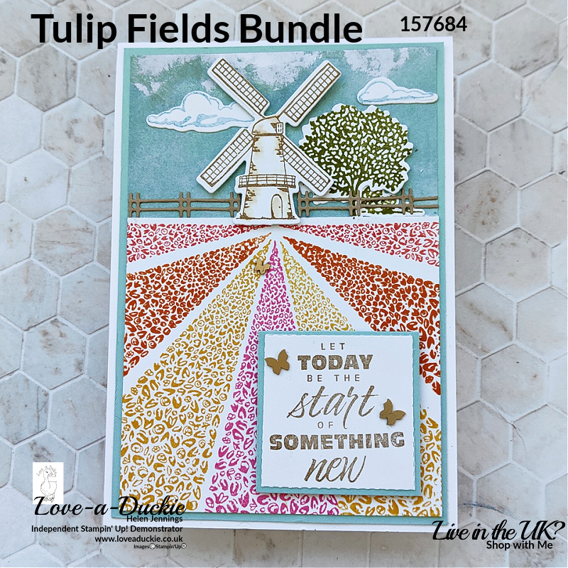 Rows of Tulips in this windmill themed card using Stampin' Up's! Tulip Fields bundle