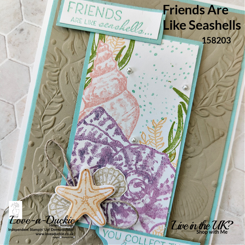 Seashells and starfish on this seasdie themed card using the Friends are Like seashells Bundle from Stampin' Up1