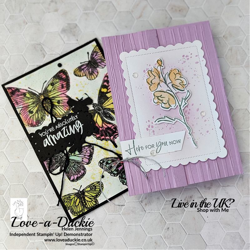 Heat Embossing. embossing folders and watercolouring were all techniques used in these two cards featuring Stampin' Up products.