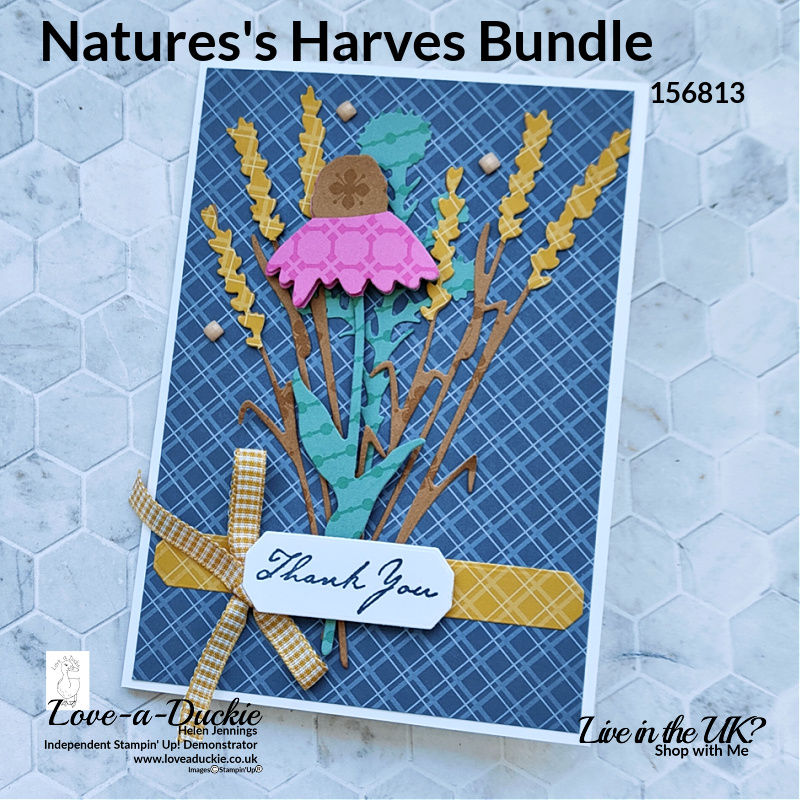 Die cutting patterned paper with Stampin' Up's nature's harvest Bundle and 2020-2022 In Colors.