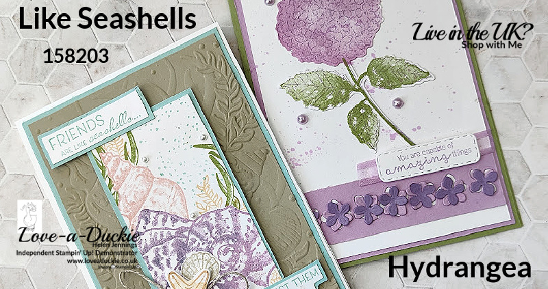 Cards With Seashells and Hydrangea
