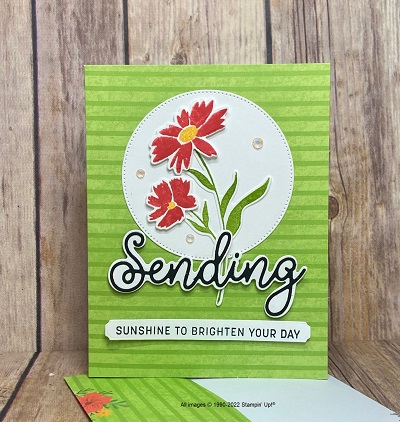 Using adhesive sheets with die cuts on this project with the Sending Smiles Bundle