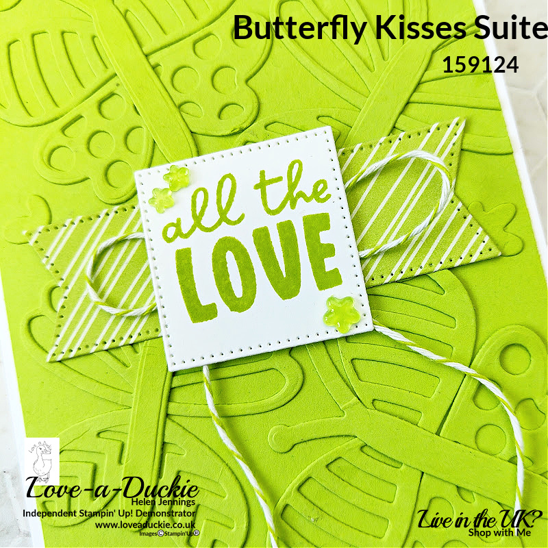 A monochromatic butterfly card in Parakeet Party from Stampin' Up!