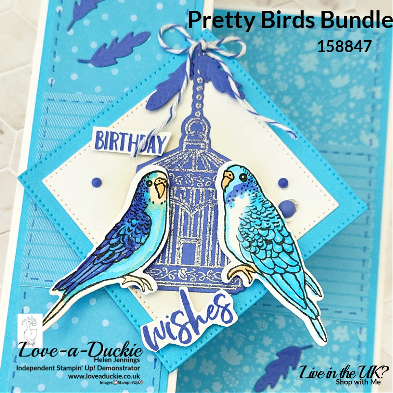 A simple fold back fancy fold card using new In Colors from Stampin' Up and featuring budgerigars
