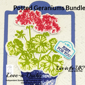 Two step stamping on these stamped and die cut potted geraniums from Stampin' Up!