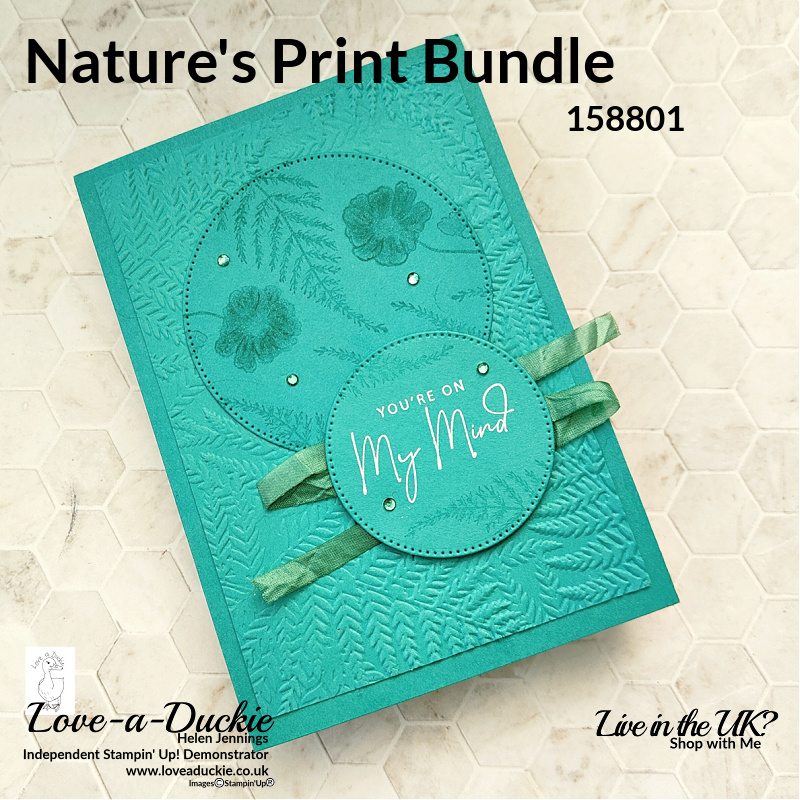 A Bermuda Bay Monochrome Card using Nature's Prints Bundle from Stampin' Up!