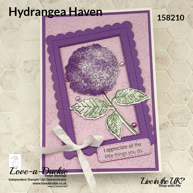 Using Frames in Card Making on this card using the Hydrangea Haven stamp set from Stampin' Up! and a selection of dies.