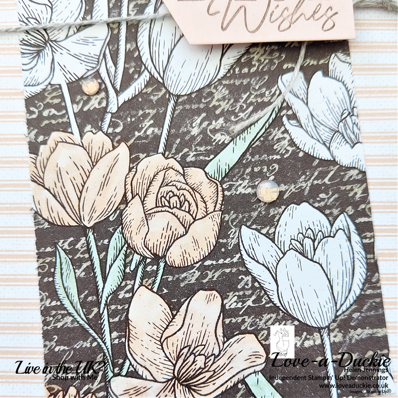 Use Stampin' Blends to colour images on this Abigail Rose DSP from Stampin' Up!