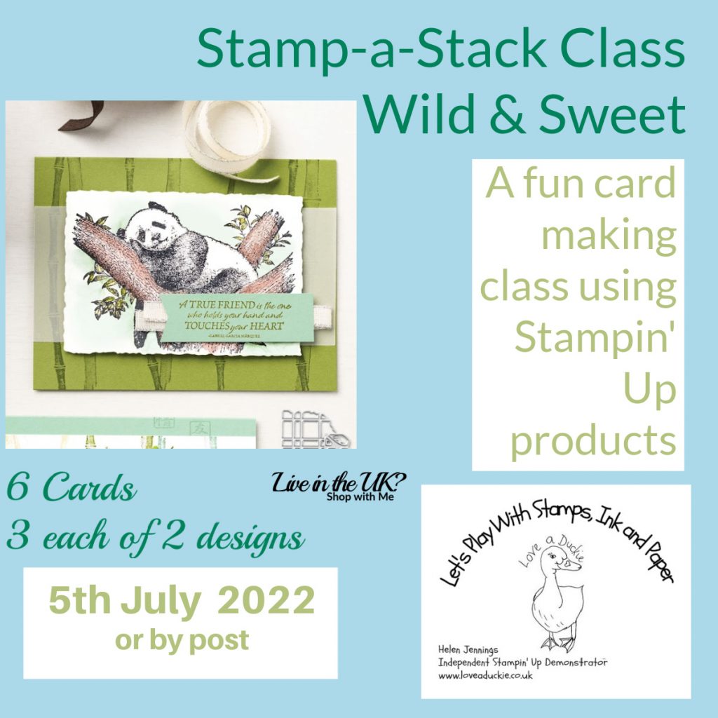 Wild & Sweet Stamp a Stack Class with experienced UK Stampin' Up Demonstrator.