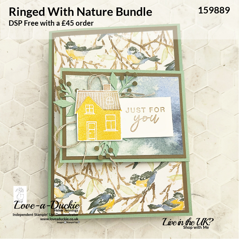 A fancy fold card that is perfect for a new home card using Ringed With Nature bundle from Stampin' Up!