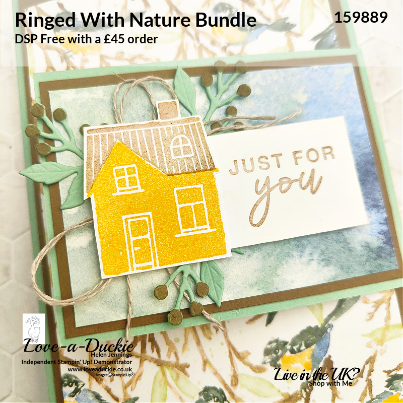 Stamped and die cut house from the Ringed with Nature bundle from Stampin' Up!