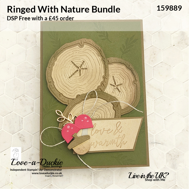 Tree rings on this card inspired by nature and using Stampin' Up's Ringed with nature stamp set.