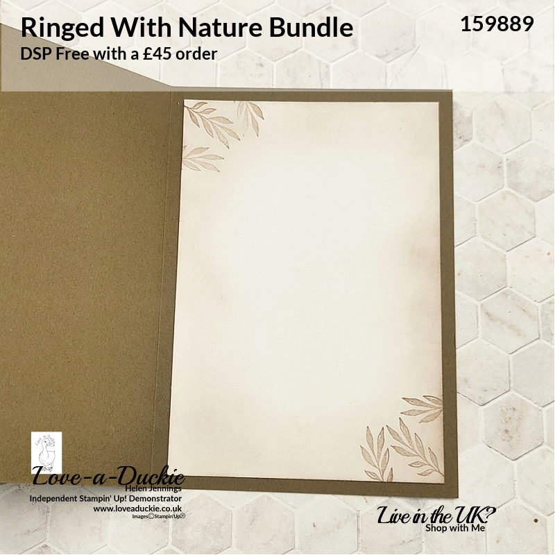 A sponged and stamp card insert using the Ringed with Nature bundle from Stampin' Up!