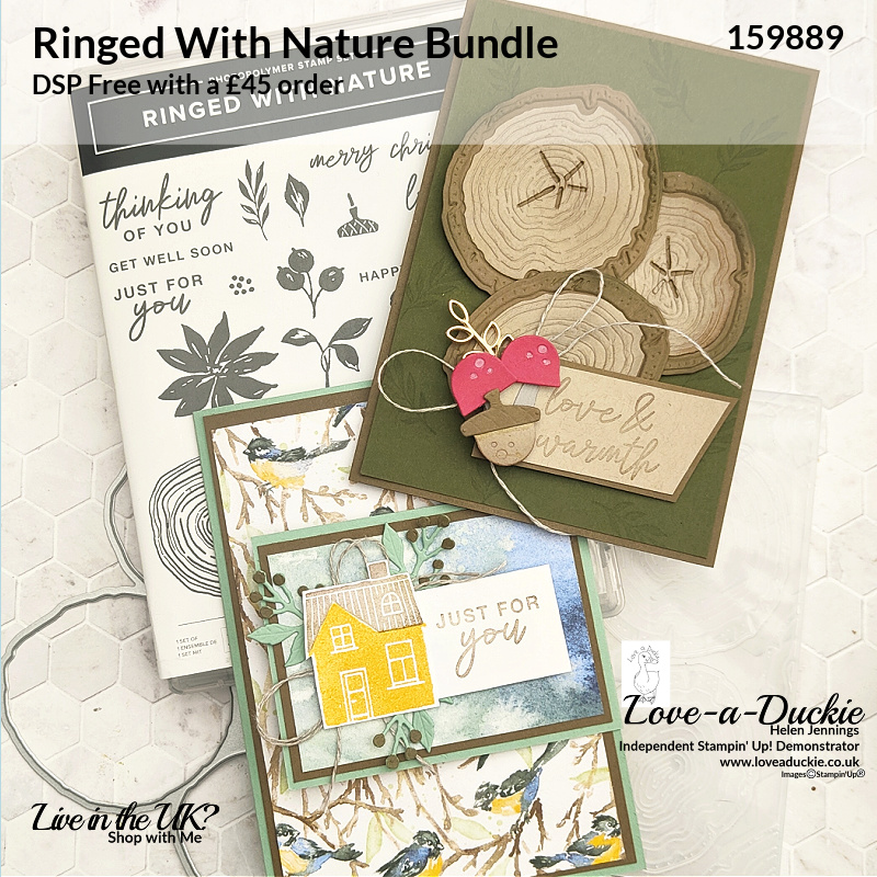 Two cards inspired by nature using the Ringed with Nature bundle from Stampin' Up!