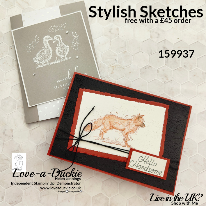 Two cards using Stampin' Up's Sale-a-Bration set, Stylish Sketches