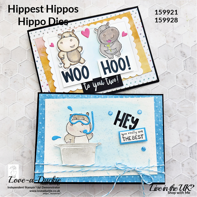 Two cute hippo cards using Hippest Hippo stamp set and Hippo dies from Stampin' Up!