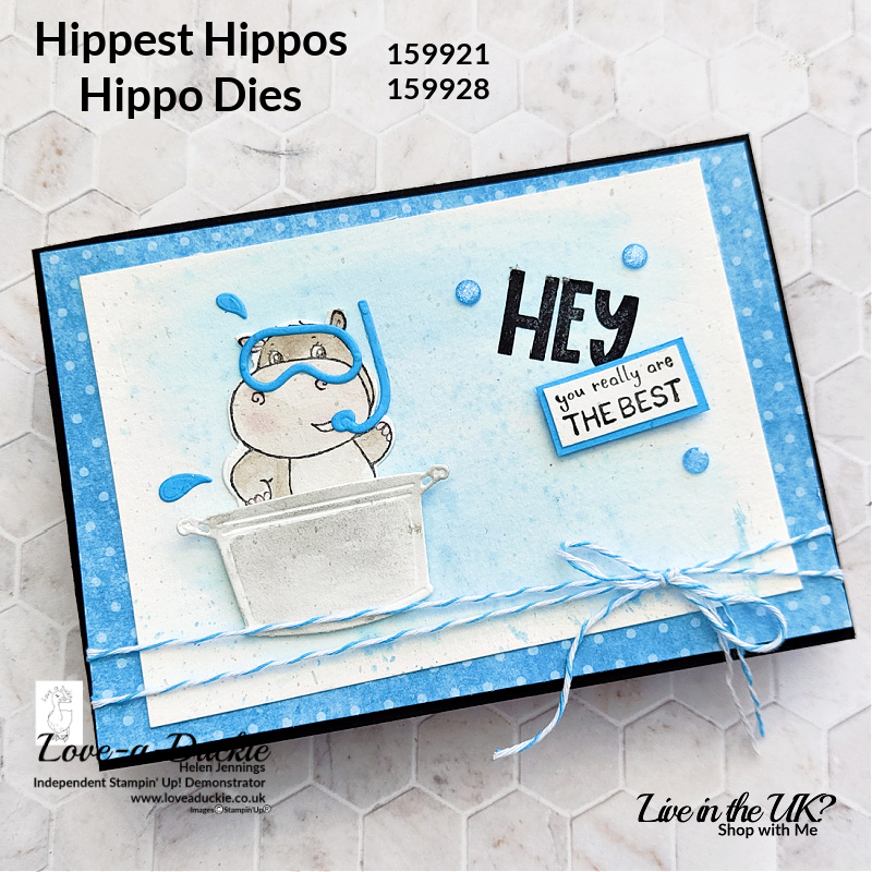 Watercoloured Hippos from the Hippest Hippo stamp set from Stampin' Up!