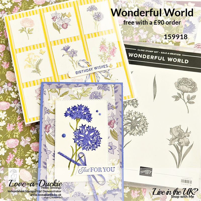 Two cards using Stampin' Up's Wonderful World bundle with a stamp set and patterned paper.