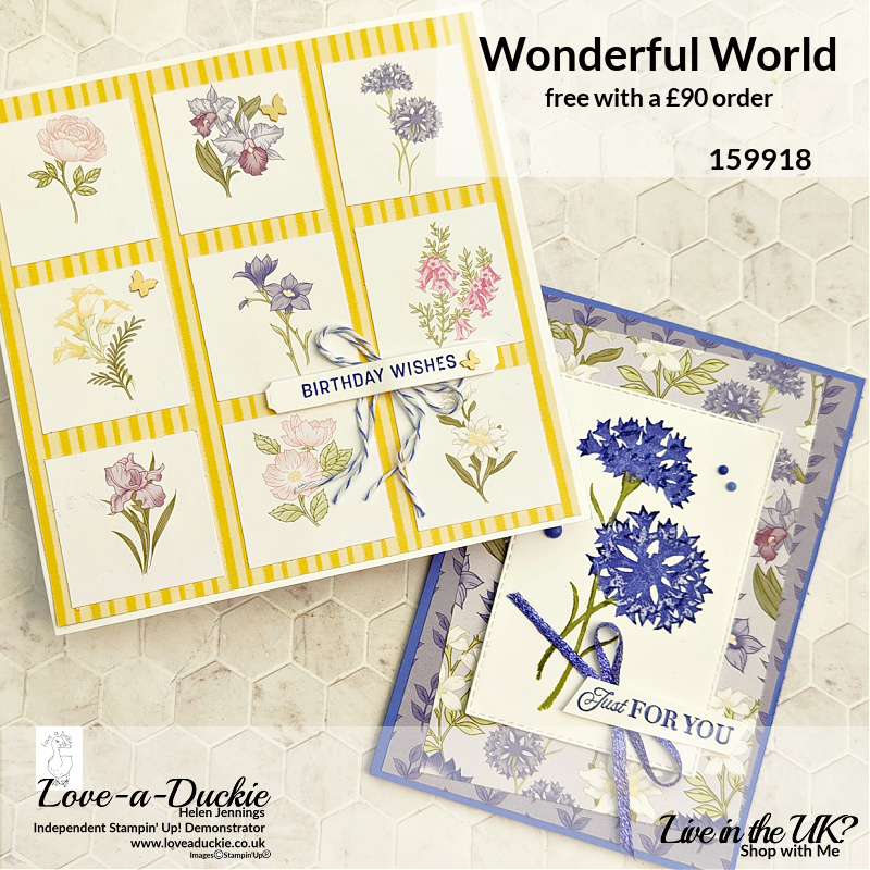 Creating cards using patterned papers from Stampin' Up's Wonderful World bundle.