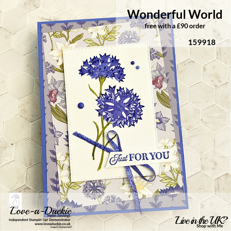 Patterned papers layered up as a background on this floral card using Stampin' Up's Wonderful World.