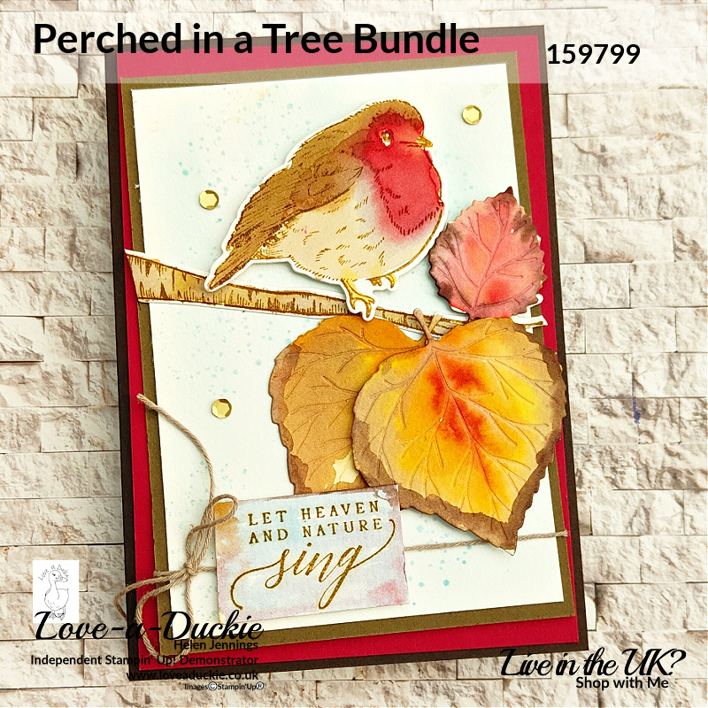 A card with water coloured robin and autumn leaves using Perched in a Tree bundle from Stampin' Up!