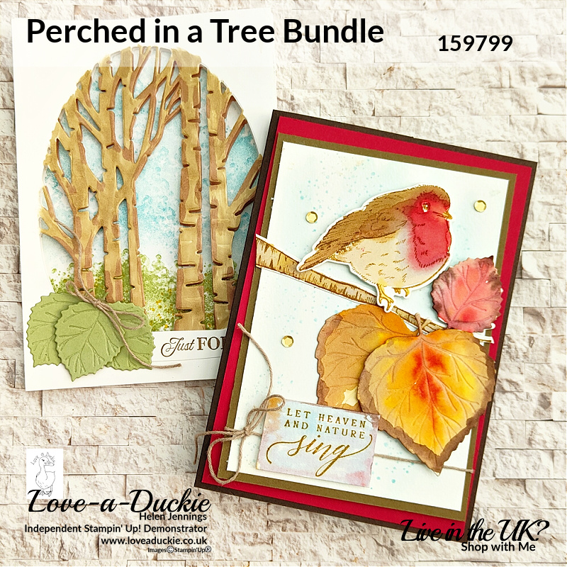 A Watercolour Card and a Diorama, both using Stampin' Up's Perched in a Tree stamp and die bundle.