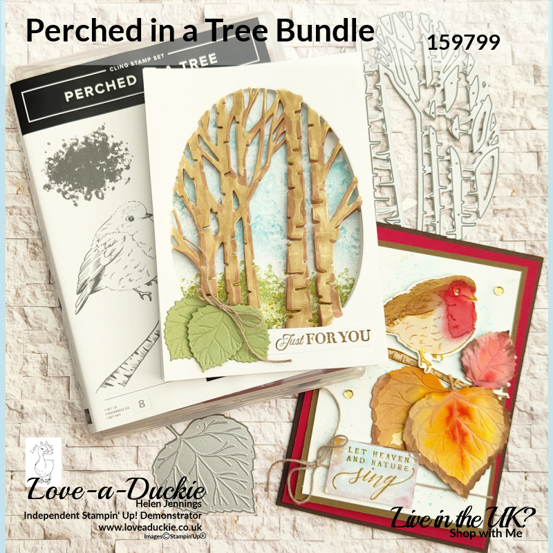 A Watercolour Card and a Diorama using the Perched in a Tree bundle from Stampin' Up!