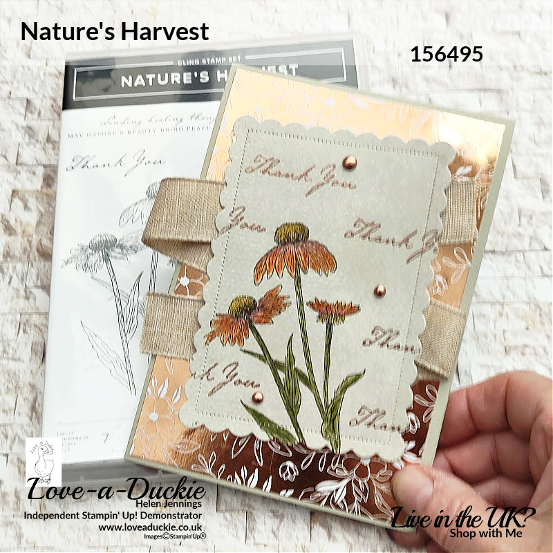 Stamping on Patterned Paper using the Nature's Harvest stamp set and Splendid day papers from Stampin' Up!