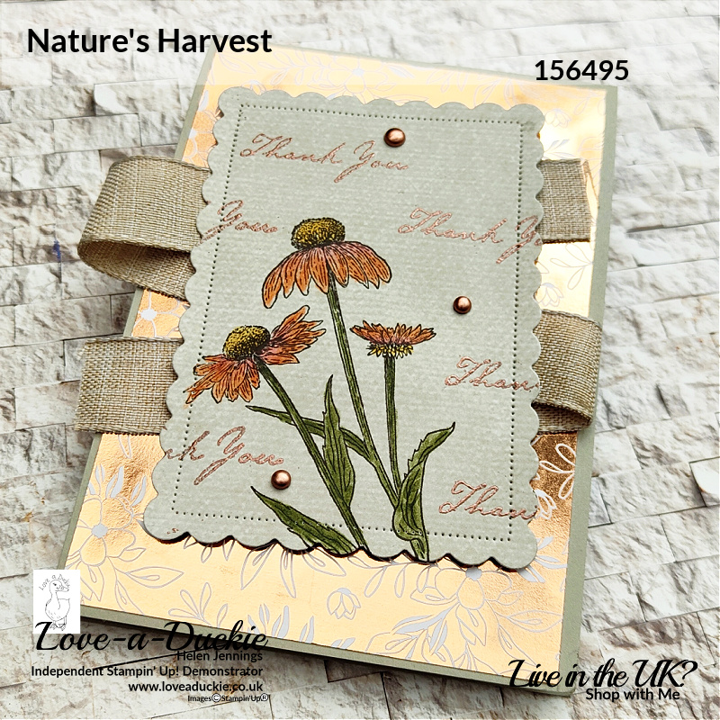 Watercolor pencils were used to colour this flower from the Nature's Harvest stamp set and  which was stamped onto Splendid day paper from Stampin' up!